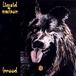 CD Cover
