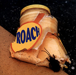 CD Cover