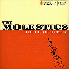 cover of 'Tropic of Hokum'