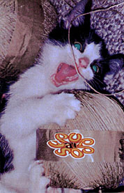 CD Cover