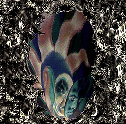 CD Cover