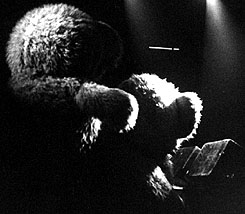 six foot teddy bears attack!