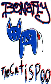 CD Cover