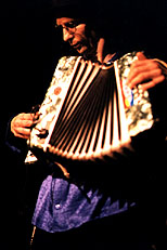 Circus in Flames accordionist