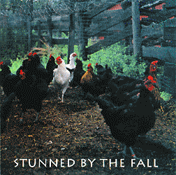 'Stunned by the Fall' CD cover